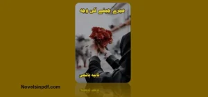 meray-jeeny-ki-wajah-novel-by-tania-hasmi