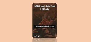 tera-aashiq-main-deewana-hoon-awara-novel-by-mehwish-ali-in-pdf